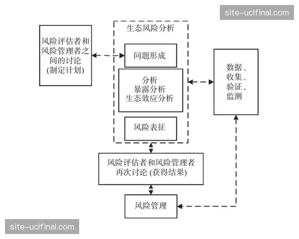 构建弹性评估框架 适应不同类型赛事差异化需求