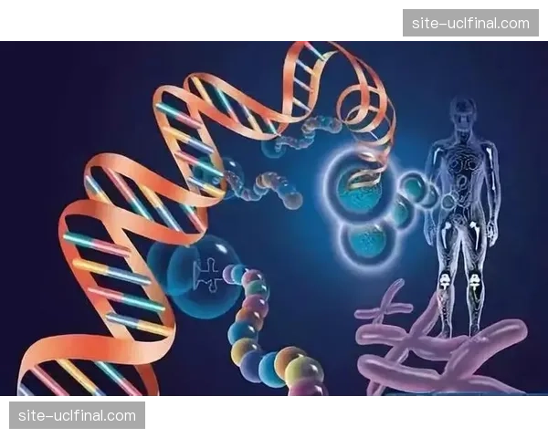 生物识别技术用于体验优化 提升运动安全与乐趣